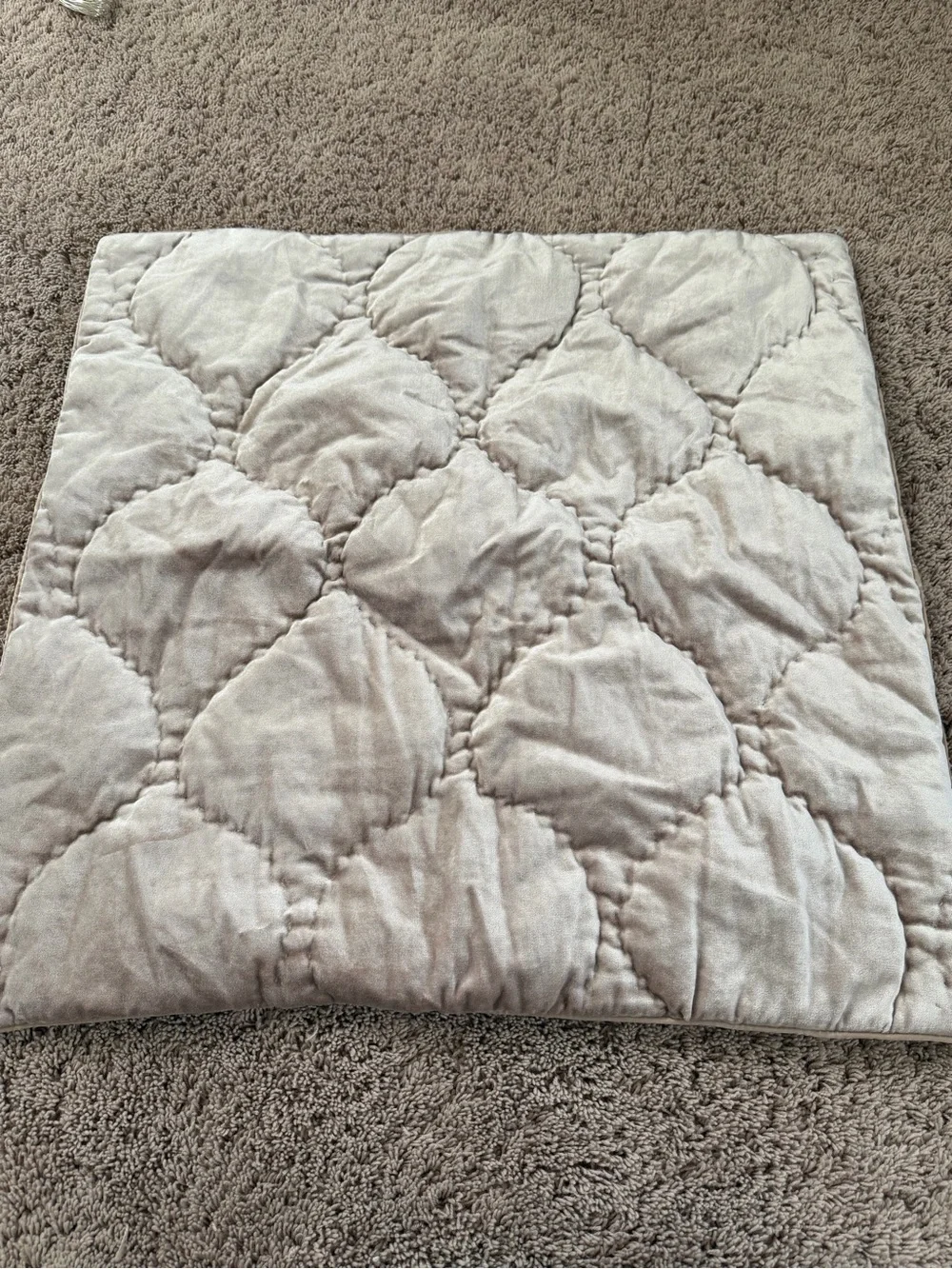 New anthropologie Claire cotton velvet satin euro sham champagne beige 26 x 26